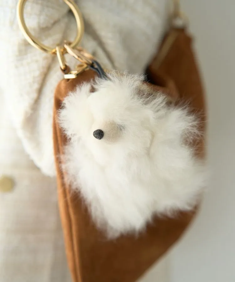 Cute｜商品クレジット